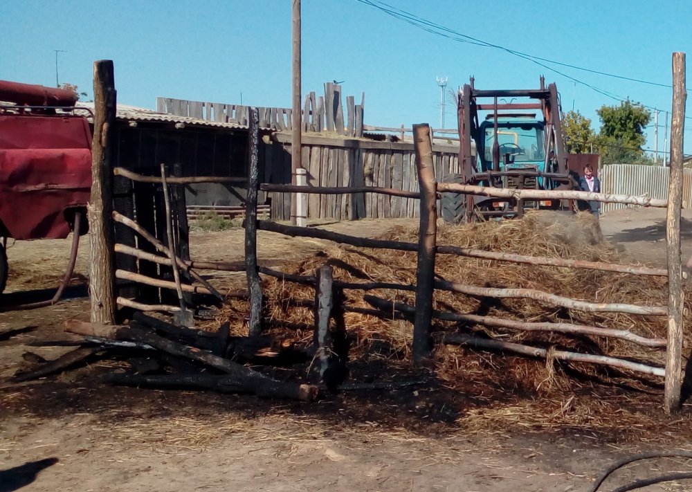 Погода оренбургская область илекская