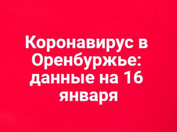 + 116 новых случаев заражения COVID-19 в Оренбургской области