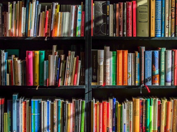 Книги под давлением пандемии
