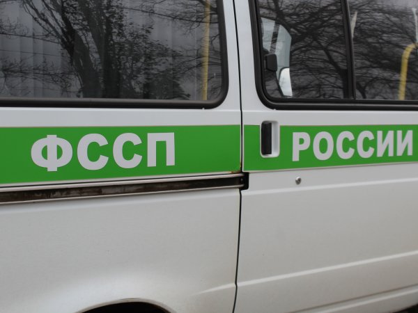 Жители Оренбургской области 312 раз пытались пронести в суды оружие и боеприпасы