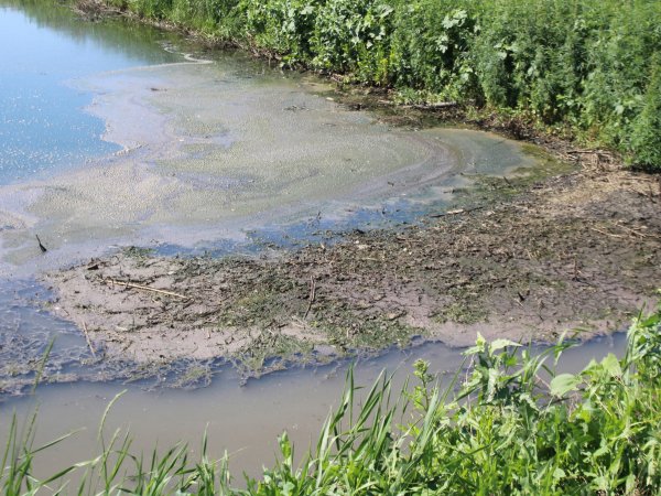 В августе 2022 года «Оренбург Водоканал» начнет строить цех механического обезвоживания осадка