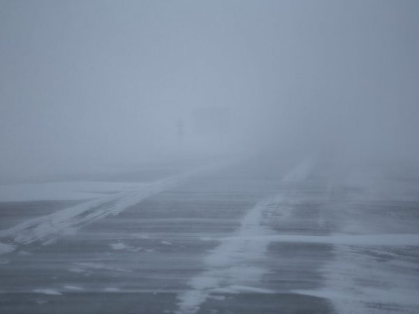 В Оренбуржье ожидается усиление ветра и метель