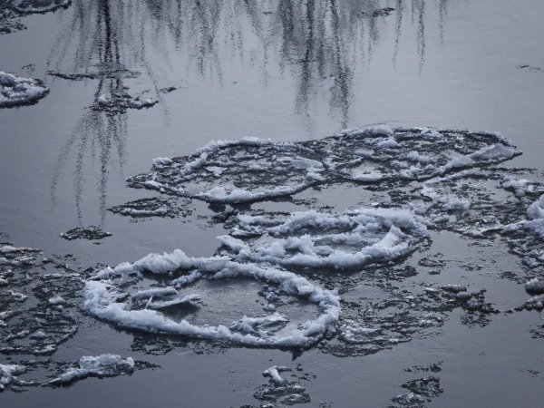 На востоке Оренбуржья из реки Урал вытащили труп мужчины