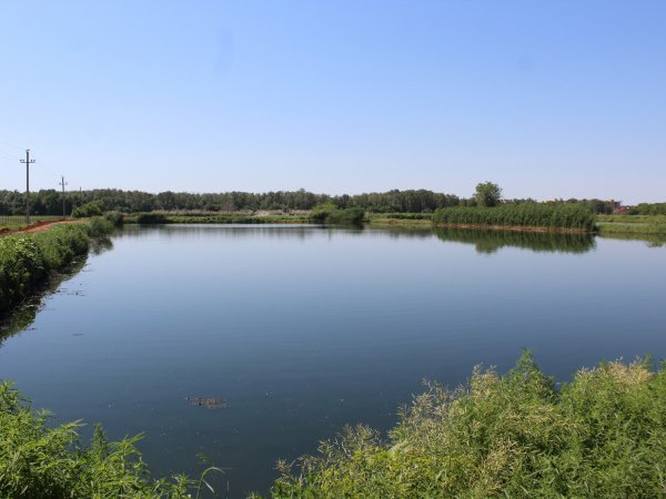 Следователи выяснили причину зловоний в п. Южном Урале, мкр Авиагородке и с. им. 9 января