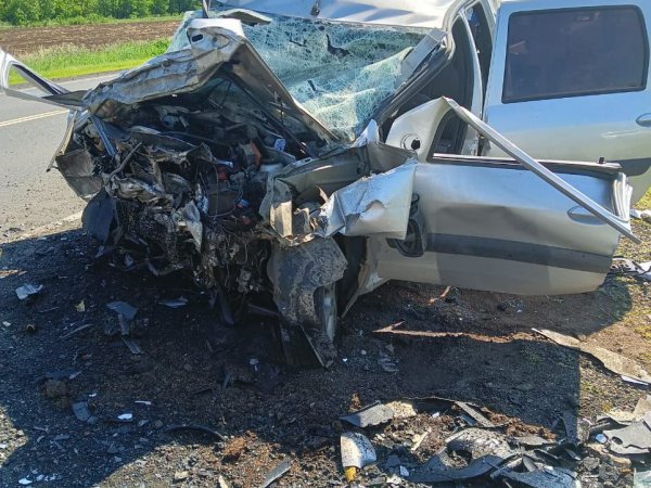 В ДТП на трассе Оренбург — Орск погибли 4 человека