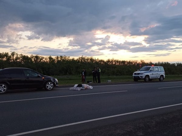 На трассе Оренбург — Самара автомобиль насмерть сбил пешехода