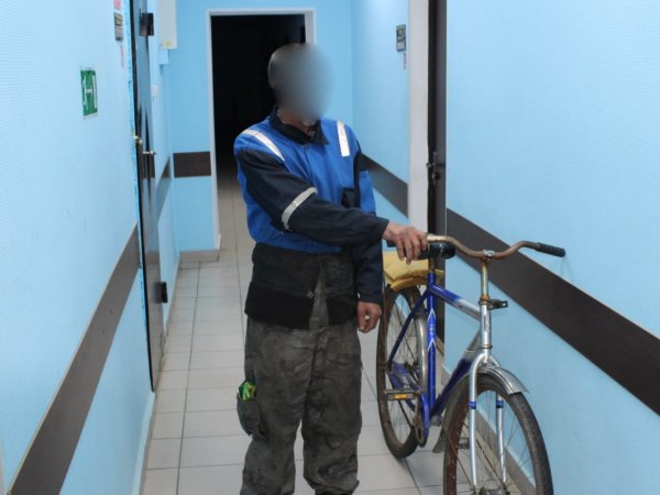 В Адамовском районе полицейские задержали похитителя велосипеда