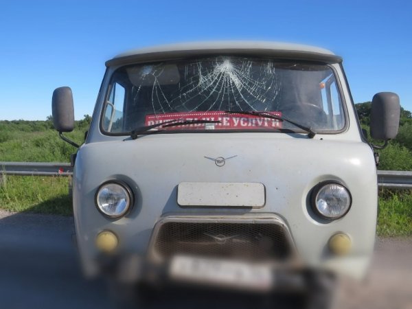 Стреляли по колесам: в Абдулино полицейские применили табельное оружие, чтобы остановить угонщика
