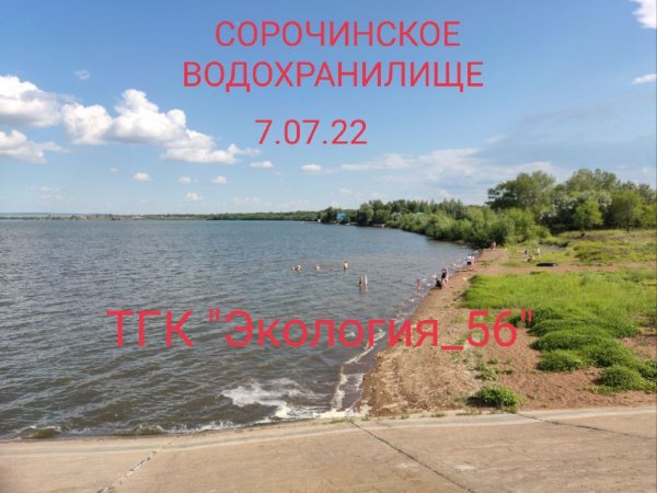 Причиной изменения цвета Сорочинского водохранилища стали водоросли