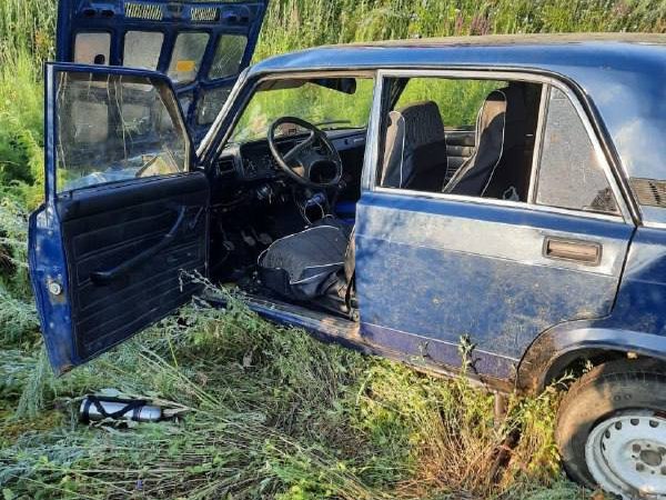 В Оренбургской районе автомобиль «Жигули» сбил стадо баранов