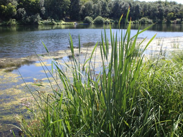 С начала купального сезона в водоемах Оренбуржья утонуло шестеро детей