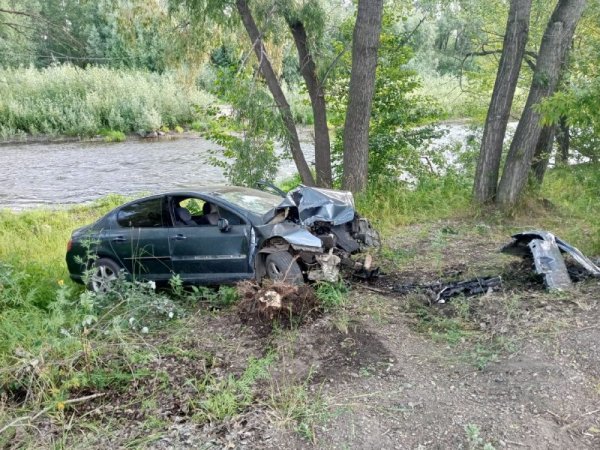 В Кувандыке «Пежо 407» влетел в дерево: водитель погиб