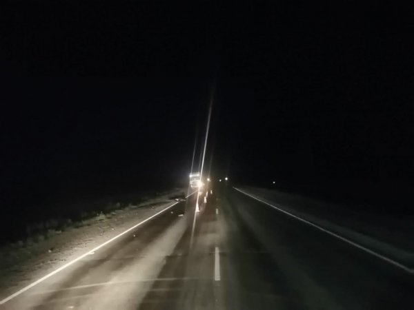 На трассе Оренбург-Орск погиб пешеход