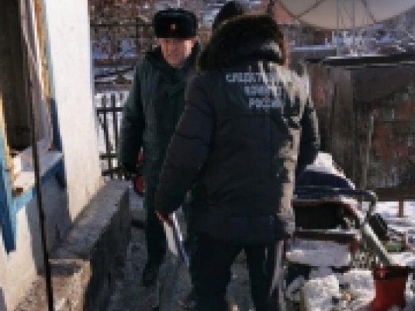 Жительницу Новотроицка признали виновной в смерти троих внуков