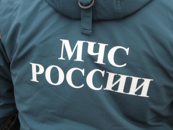 В Шарлыкском районе простились с семьей Габитовых