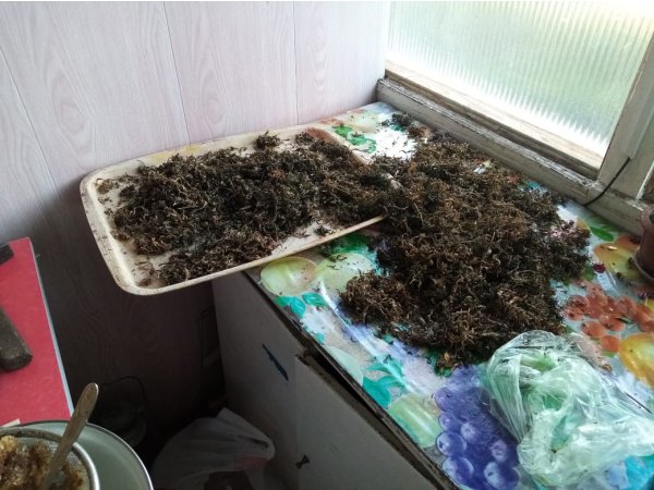 Житель Кувандыка попал под статью за хранение наркотика