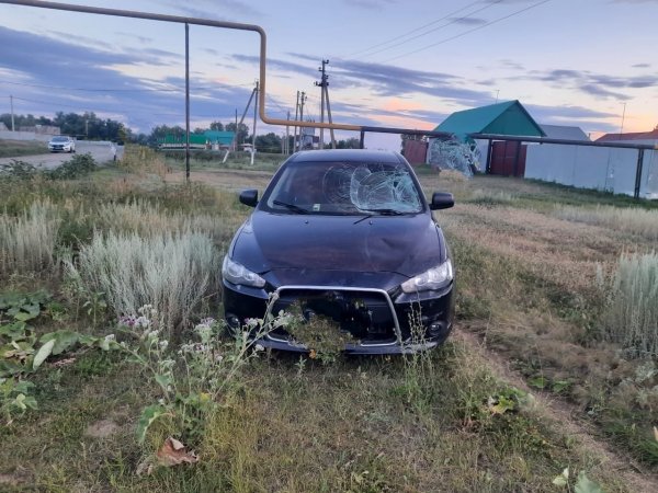 В Тоцком районе автоледи подшофе сбила велосипедиста