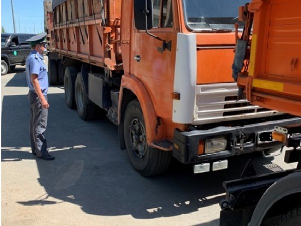 С территории Оренбуржья в Казахстан незаконно пытались вывезти 140 тонн подсолнечника и зерна