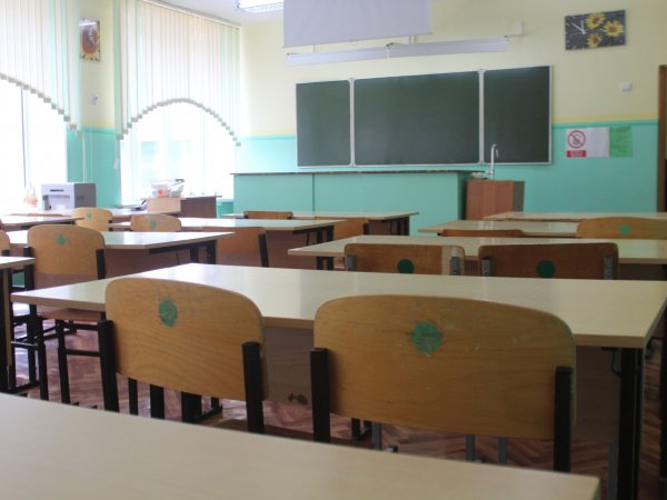 Российские школьники смогут проверить свои знания в 82 олимпиадах