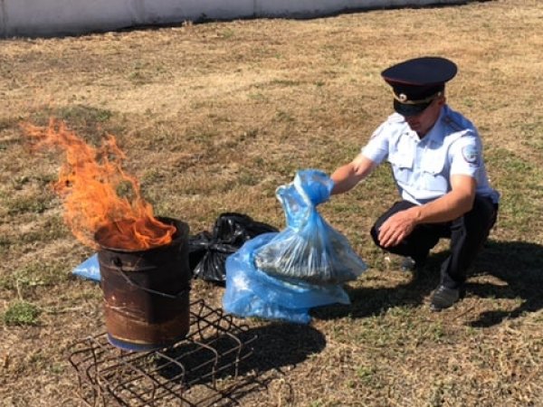 Саракташские полицейские уничтожили изъятые наркотики и оборудование