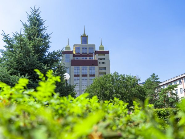17 студентов из Оренбурга будут получать правительственную стипендию