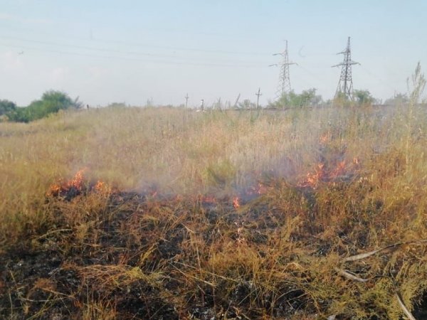 Пожар в Оренбургском районе: в районе села Пруды горела сухая трава