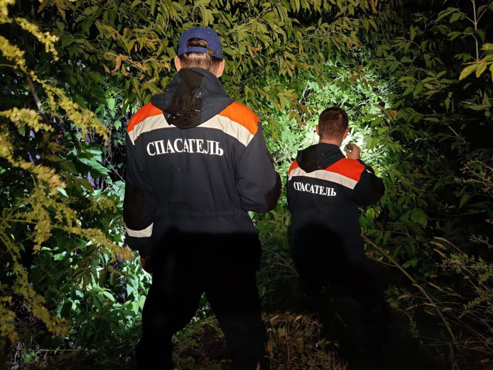 Троих «потеряшек» искали в лесу около п. 9 января