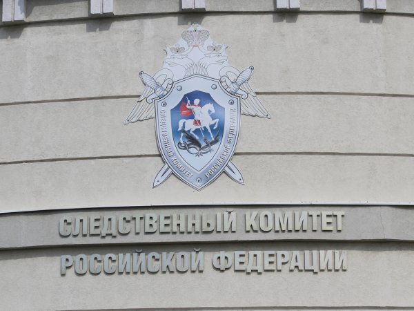 Следователи прокомментировали сообщение об изнасиловании девочки в Новотроицке