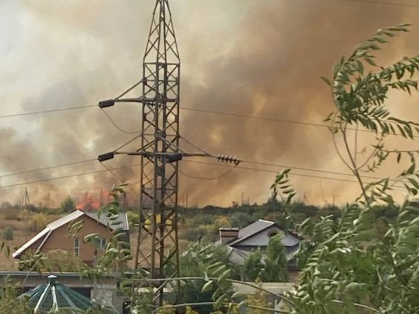 В Орске сгорело 85 гектар степи