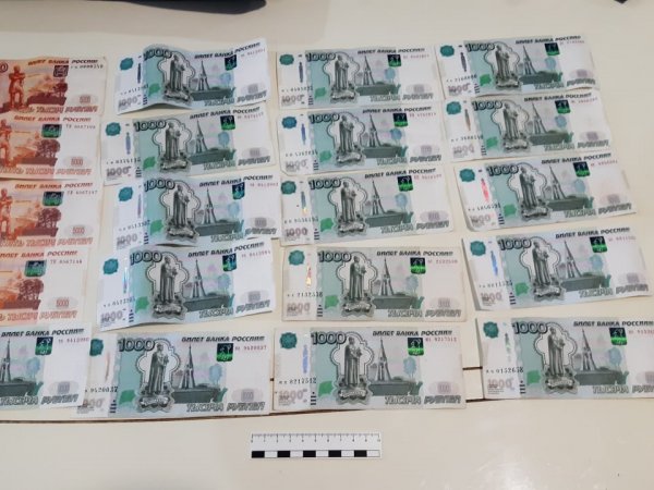 В Новоорском районе задержали 19-летнего мошенника из Ставропольского края