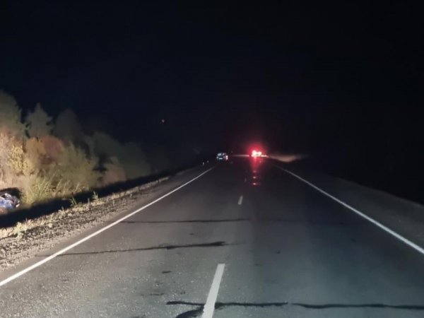 В Оренбургском районе выясняют обстоятельства ДТП на автодороге «Каменноозерное-Медногорск»
