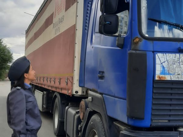 Из Оренбуржья в Казахстан пытались незаконно вывезти 40 тонн подсолнечника