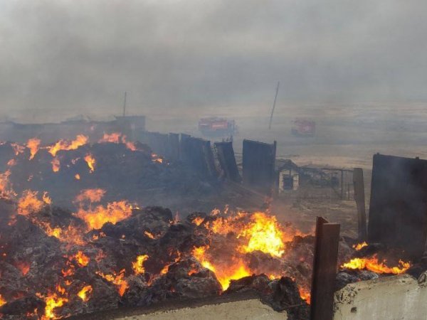 Пожар в Адамовском районе: сгорела хозпостройка с сеном