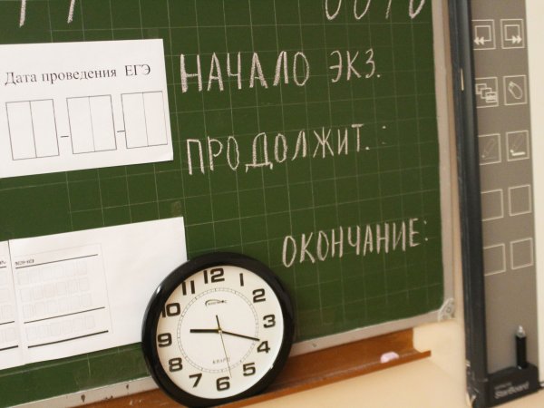 В Минобре озвучили даты проведения ЕГЭ и ОГЭ в 2023 году