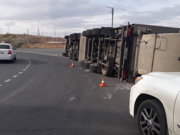 Фура со свиньями перевернулась на Новотроицкое шоссе в Орске