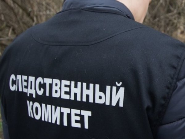 Жительница Илекского района пыталась дать взятку полицейским и попала под следствие