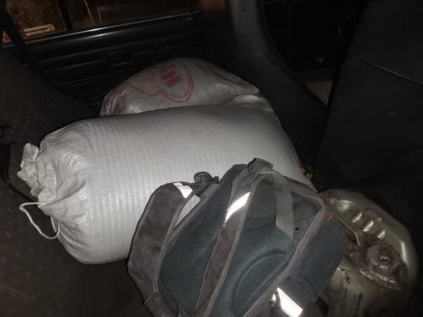 В Шарлыке механизатор украл топливо и семена подсолнечника у своего работодателя