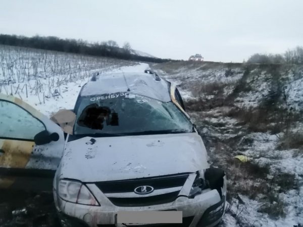 В Новосергиевском районе в результате съезда «Ларгуса» в кювет пострадали два человека