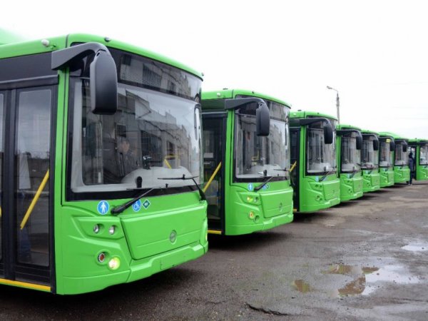 Ремонт взлетно-посадочной полосы, обновление автобусов и новая схема движения в Оренбурге