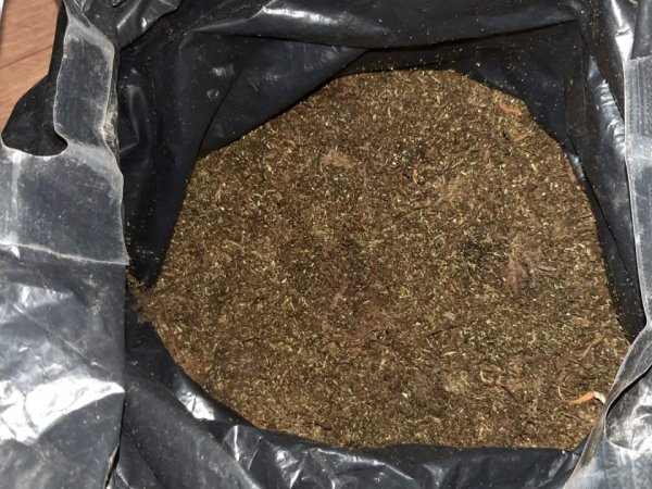У жителя Саракташа в квартире нашли заначку марихуаны