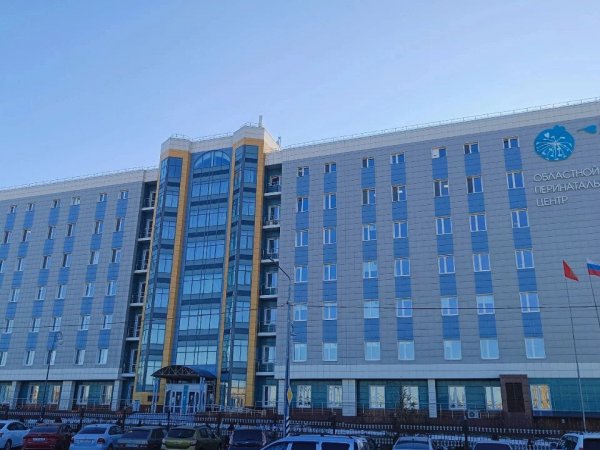 В Областном перинатальном центре родилось 9 пар двойняшек