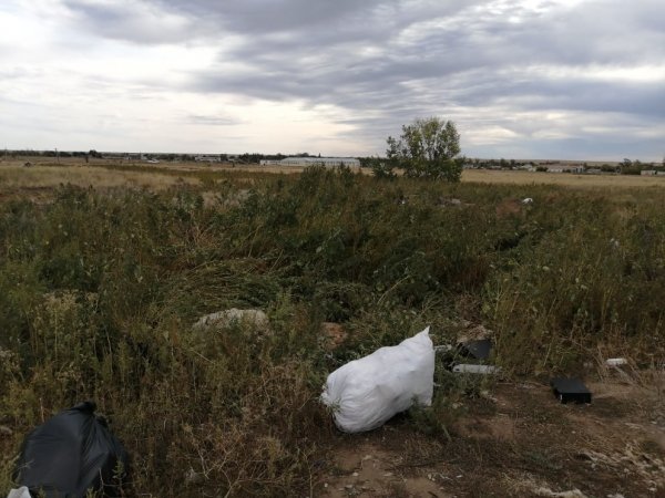 В Оренбуржье выявили факт незаконной предпринимательской деятельности