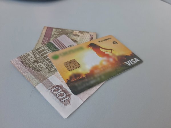 Школьник из Орска «купил» коды для игры за 25 000 рублей, расплатившись картой мамы