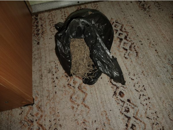 Жителя Переволоцкого района задержали за хранение марихуаны