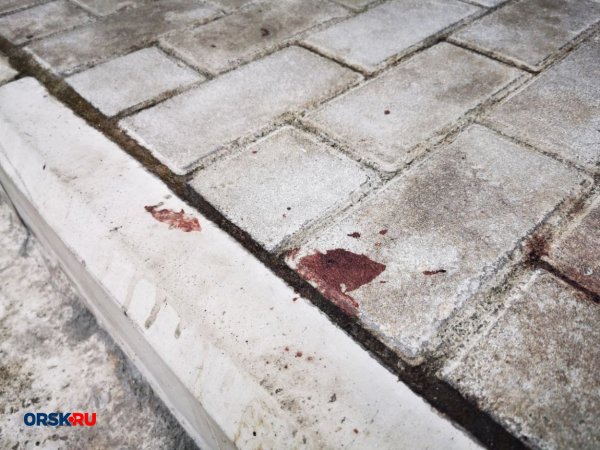 В Орске задержали участника драки, в результате которой погиб мужчина