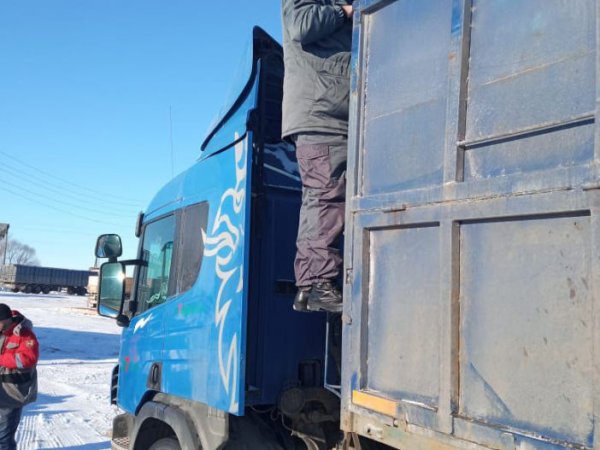 Из Оренбуржья на экспорт отправлено 129 тонн продукции