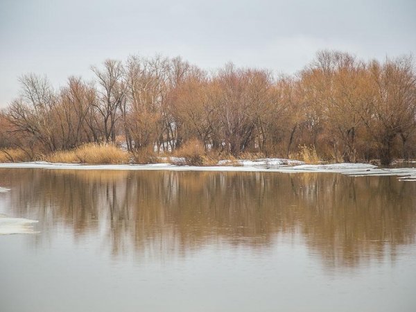 В Акбулакском районе для движения закрыт мост через реку Белая