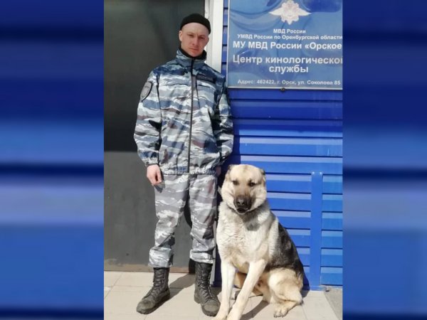 Служебная собака Боярд помогла найти орчанина, подозреваемого в убийстве