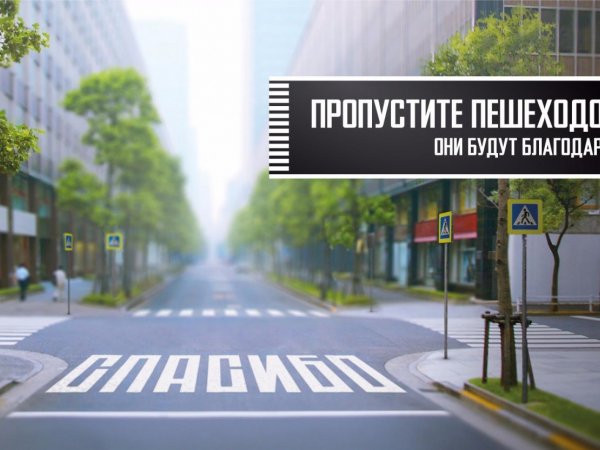 Оренбургские полицейские будут проверять соблюдение ПДД пешеходами