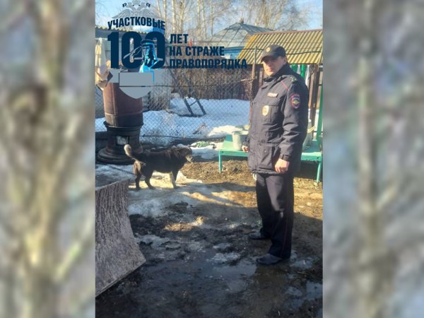 В Пономаревском районе собака покусала подростка